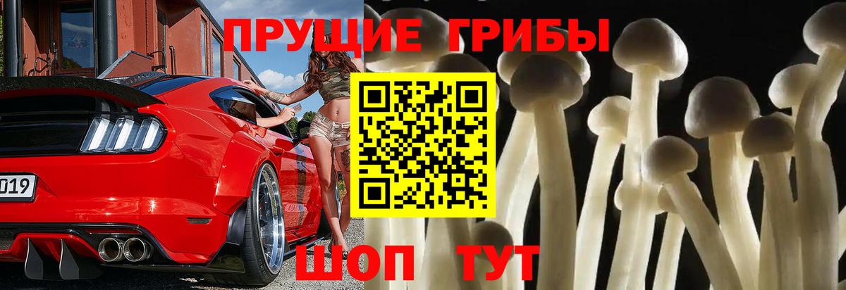 Галлюциногенные грибы мухоморы  Вход с VPN  Янаул 
