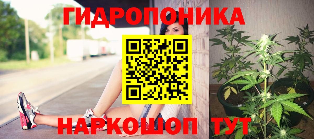 Канабис THC 21%  Вход с VPN  Канабис семена  Марихуана сатива  Янаул 